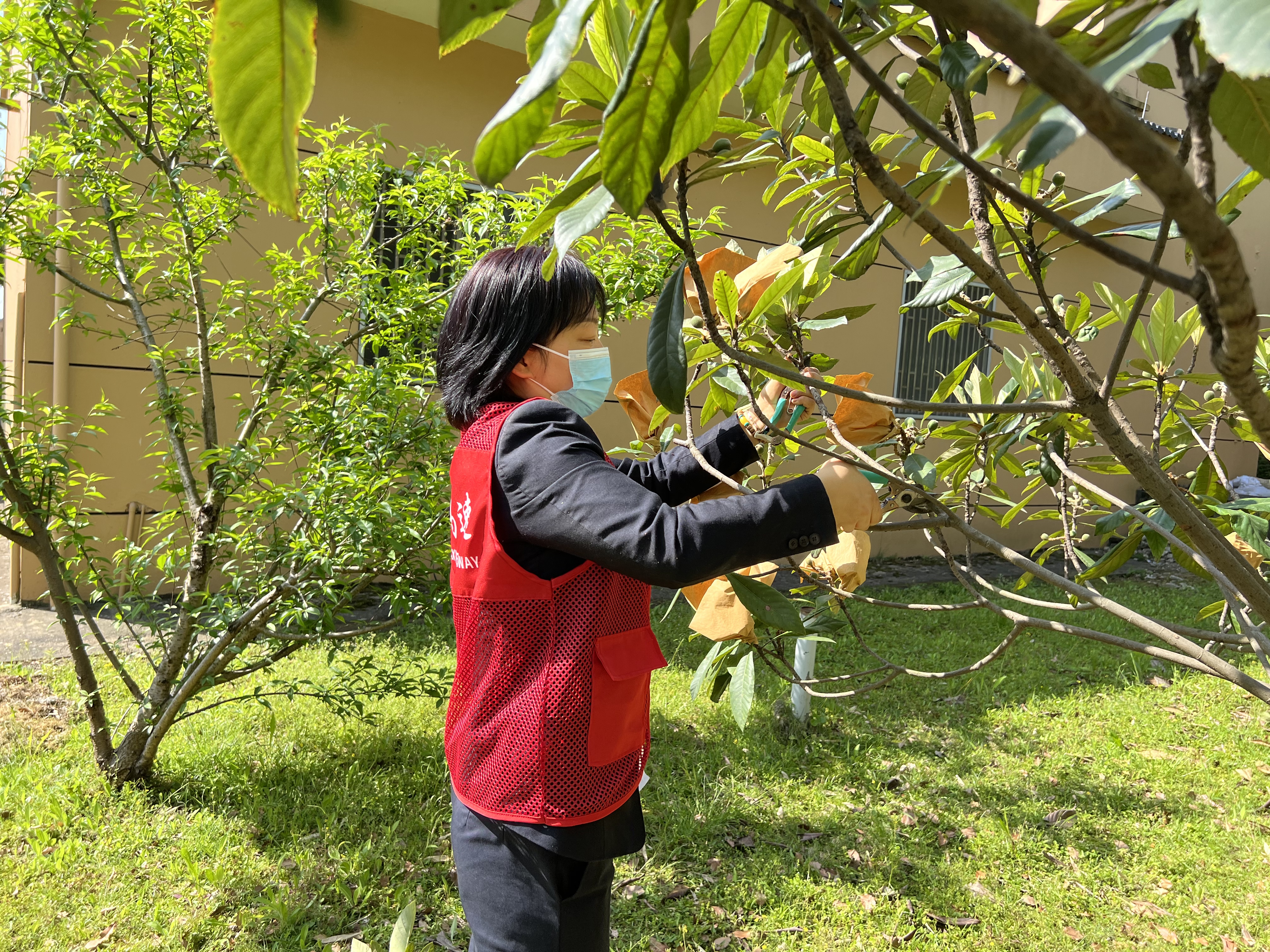 1649399429763381.jpg 2.jpg